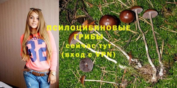мдма Коряжма