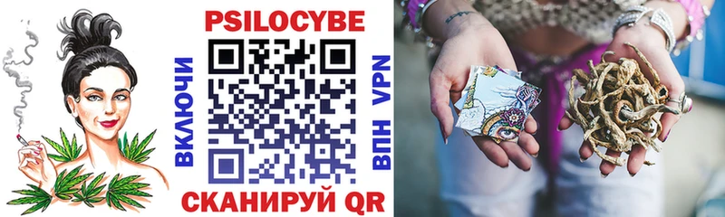 Купить где  Выборг  Галлюциногенные грибы Magic Shrooms 